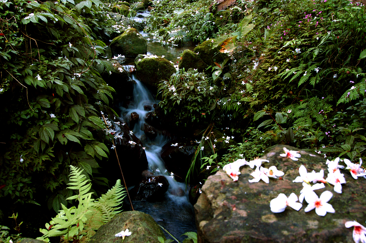 hakka-tung_3